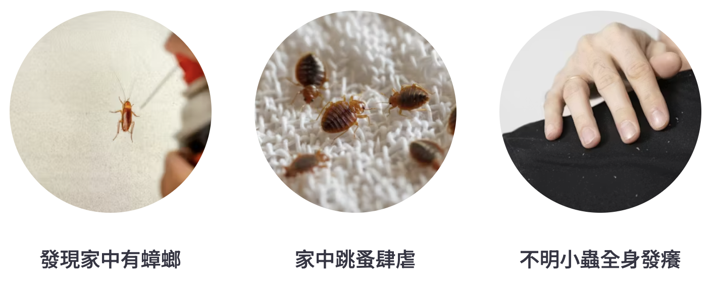 蟲